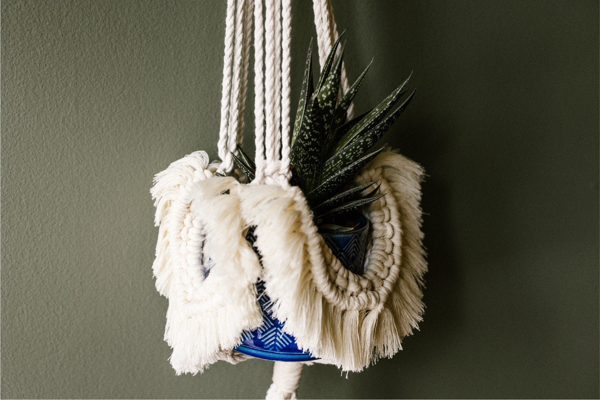 Spiral Knot Botanica Macrame Plant Hanger – FringedElora