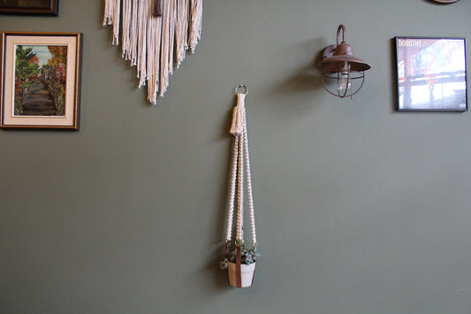 Leather and Macrame Plant Hanger