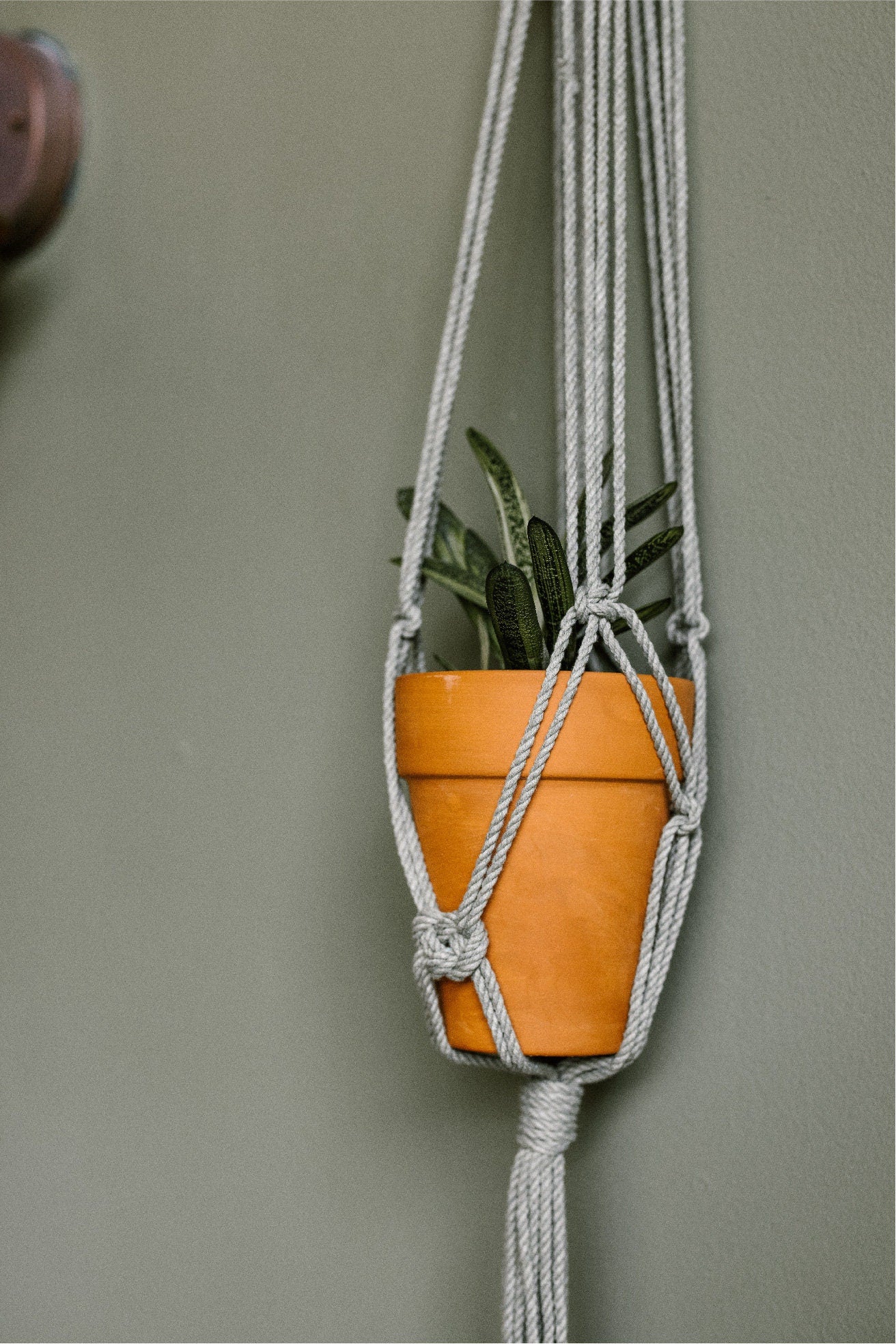 Flora Macrame Plant Hanger