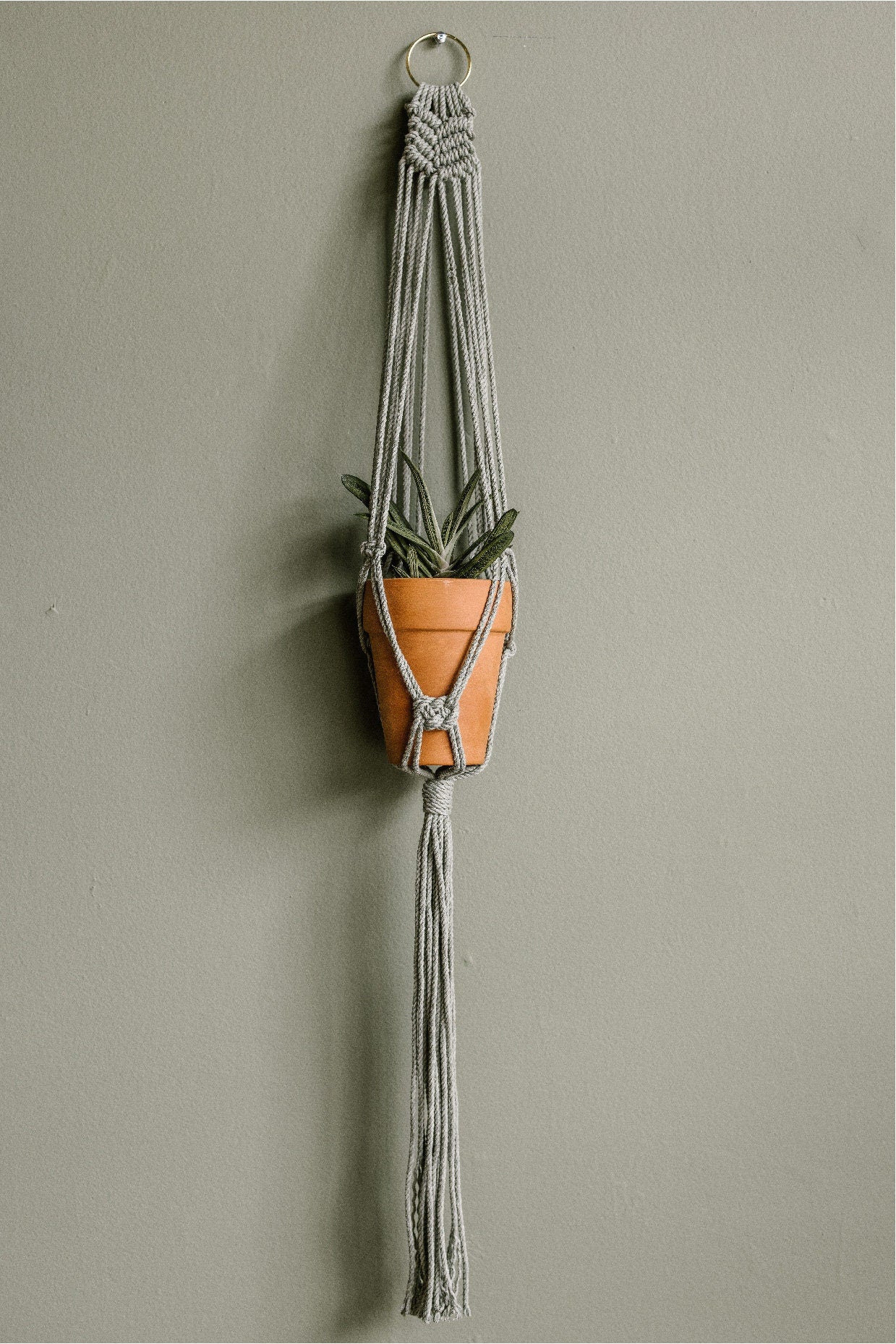 Flora Macrame Plant Hanger