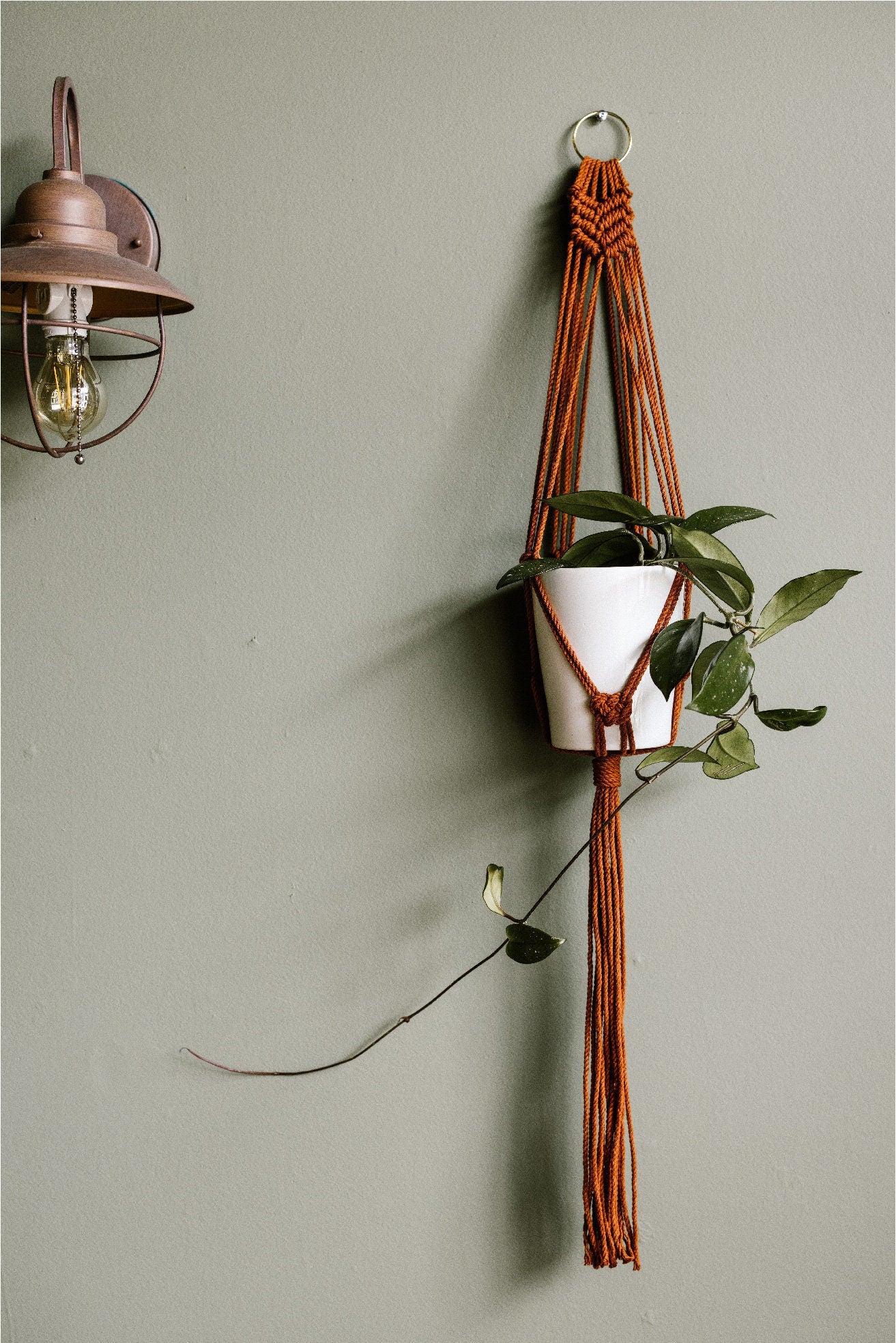 Flora Macrame Plant Hanger