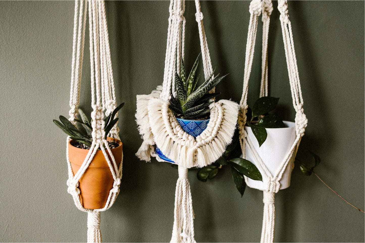 Pluma Macrame Plant Hanger