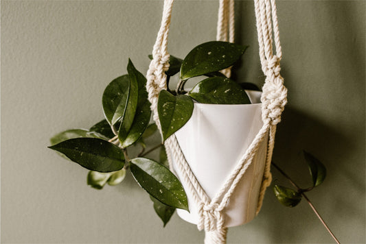 DIY macrame plant hanger kit with macrame knots guide/instructions