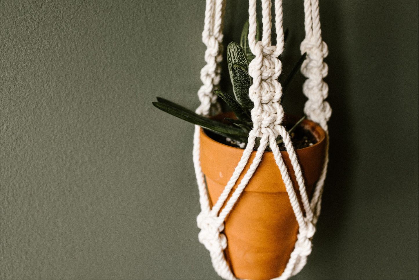 DIY macrame plant hanger kit with macrame knots guide/instructions